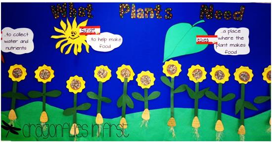 what plants need board